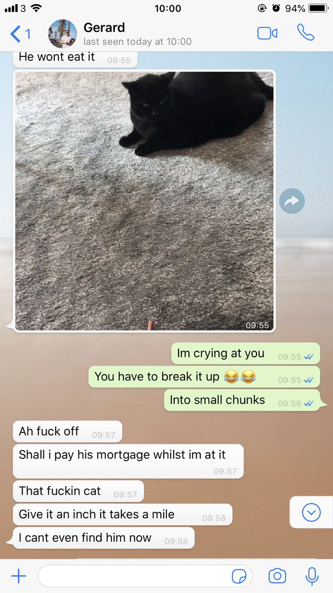 poopyjo's tweet image. I left my boyfriend in my house with my cat (they hate each other) but today he decided to be nice and give the cat a treat. It went down really well as you can imagine. #makingamends