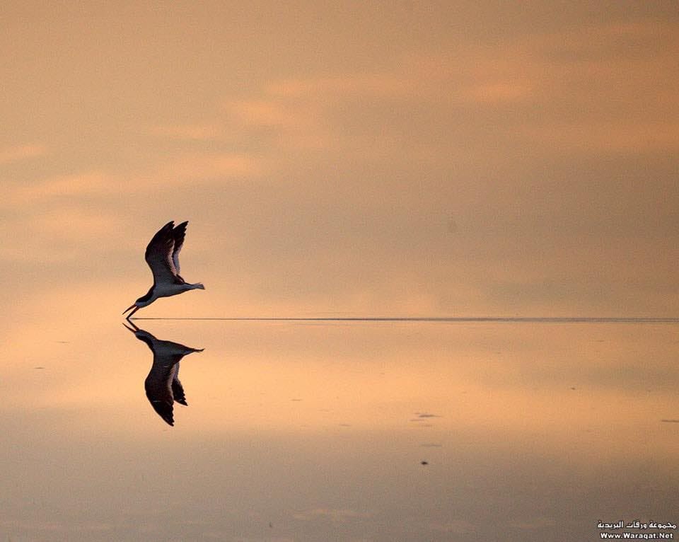 لماذا القلق من المجهول 
وكل شيء عند الله معلوم 
اطمئن .. فانت بعين الله