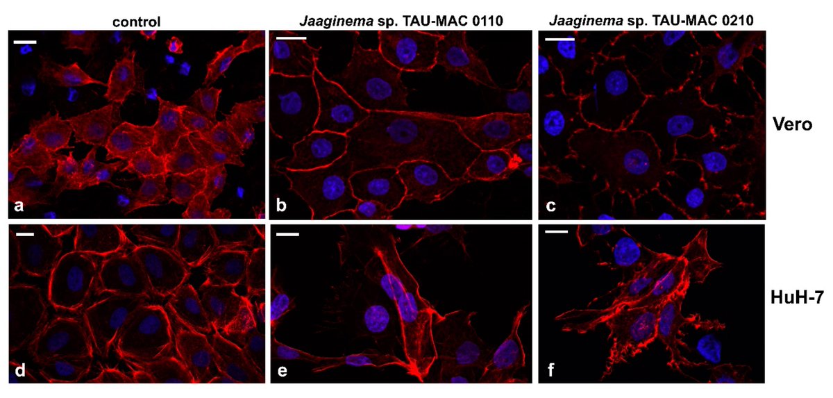 CyanoLab AUTH tweet media