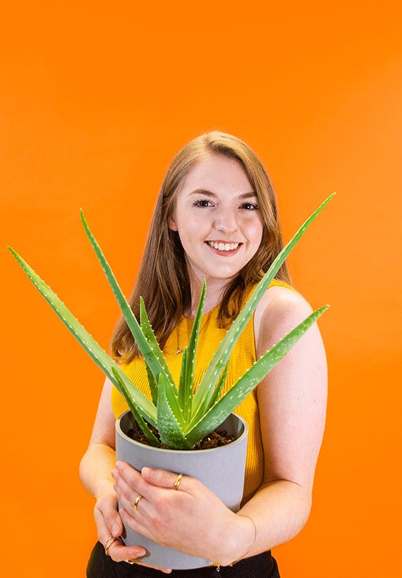 A very warm welcome to our resident green fingers and new Office Manager, Jordan 🥳🌿 

The Queen 👸🏼 of organisation and master of company culture. It’s a pleasure to have you join us!