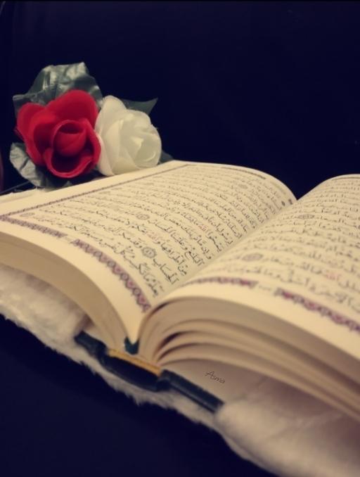 Asma40958794's tweet photo. ﻭﻓﻲ ﺍﻟﻘُﺮﺁﻥ ﻳُﻮﺭﻕ ﻛﻞ ﺧﻴﺮٍ ﻭﺑﺎﻟﻘﺮﺁﻥ ﻳُﺸﻔﻰٰ ﻛﻞّ ﺩﺍﺀ💙✨ https://t.co/II6yLD3CAx