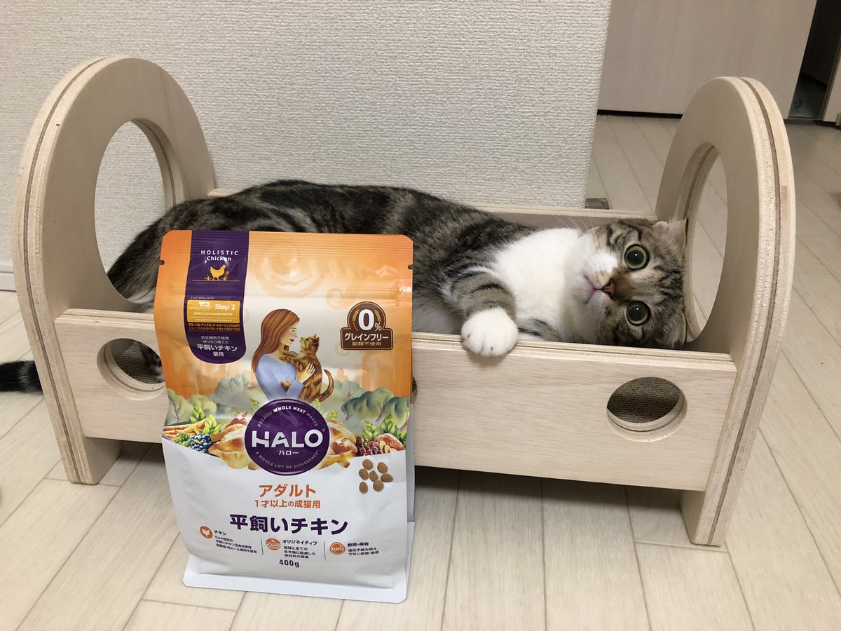 ベッツチョイスジャパン ベッツチョイスジャパン