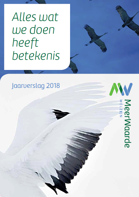 ‘Alles wat we doen heeft betekenis’ is het jaarverslag 2018 van #MeerWaarde. Vol verhalen over sociaal werkers met hun tomeloze inzet voor een prettige samenleving, voor alle inwoners. #HLMR #welzijn #innovatief meerwaarde.nl/nieuws