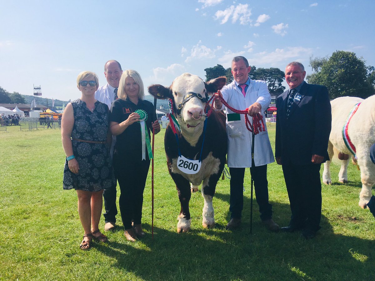 UKHerefords's tweet photo. ROYAL WELSH: Moralee 1 Rebel Kicks from Tom and Di Harrison take home the reserve interbreed junior bull title with Moralee 1 Rebel Kicks just after it was named native junior bull champion 🏆🎉🏆

#UKHerefords #winning https://t.co/hdK3K9aUrP
