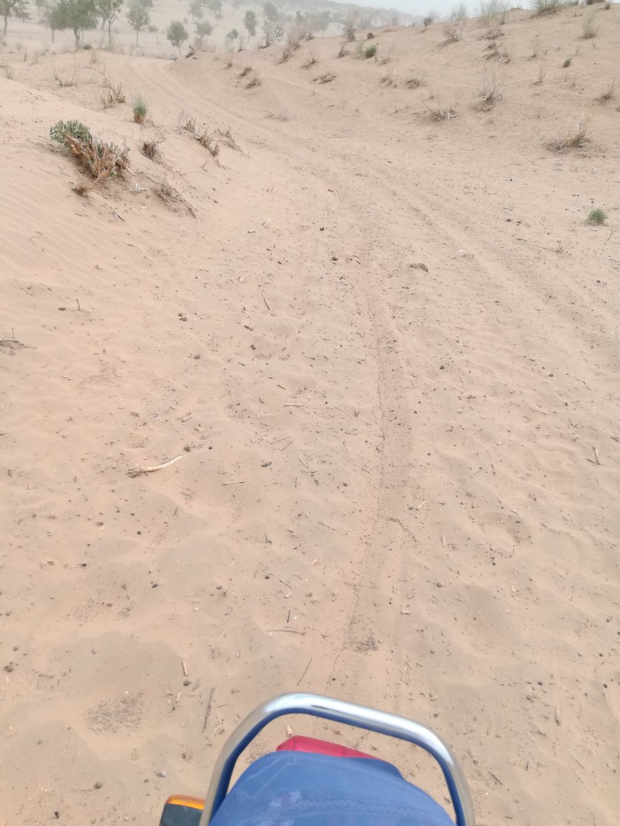 GotamDasMeghwar's tweet photo. No matter how tough the weather is, We Monitoring Assistants ride bikes in the desert to monitor the Govt Schools.
@sardarshah1 @SkBhutto 
@MAsSELD1 @monitorseldjcd https://t.co/3gN1HkBP6x