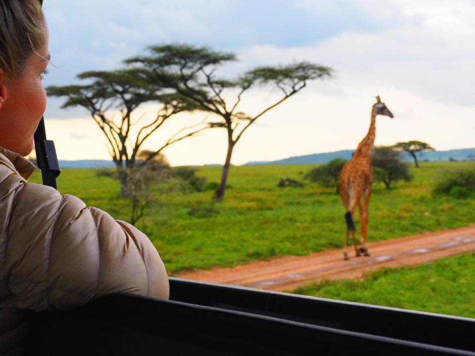 AfricanTraits's tweet photo. "Giraffes are fairytale animals, almost heraldic as if from the land of fables. They have extremely beautiful faces, huge eyes, very sensitive nostrils and oh, blue tongues!"
-Joanna Lumley

Book your safari today: https://t.co/H8LZcHcCXY

#giraffe #wildlifephotography #Travel https://t.co/TWjanuGoIY