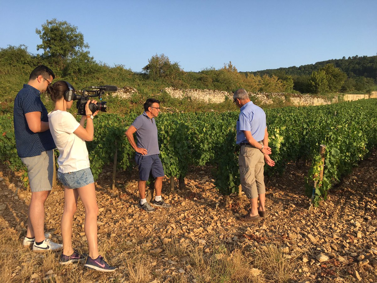 MOREY MEURSAULT tweet media