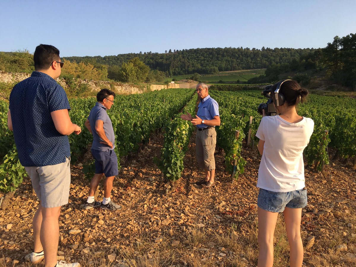 MOREY MEURSAULT (@moreymeursault) on Twitter photo Profiter d’une température agréable et de la lumière matinale pour le reportage sur #Meursault Perrières. A découvrir à la @pauleedenewyork 2020. <a href="/danieljohnnes/">Daniel Johnnes</a> @mgoldbergliu Profiter d’une température agréable et de la lumière matinale pour le reportage sur #Meursault Perrières. A découvrir à la @pauleedenewyork 2020. <a href="/danieljohnnes/">Daniel Johnnes</a> @mgoldbergliu