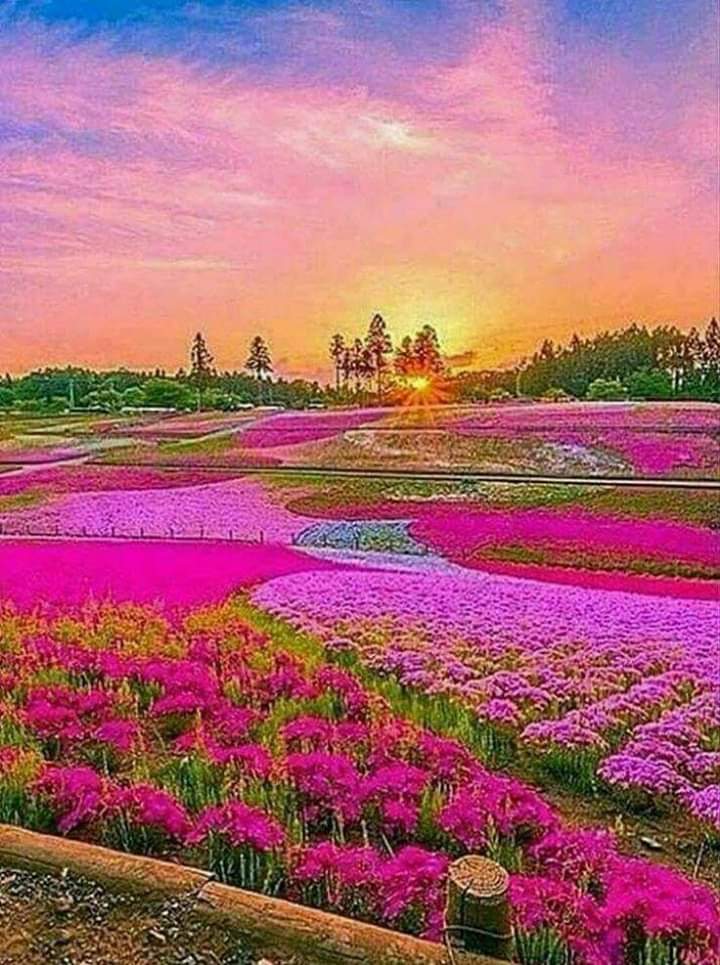 abooodelsayed's tweet image. 