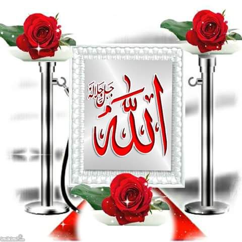 abooodelsayed's tweet image. 