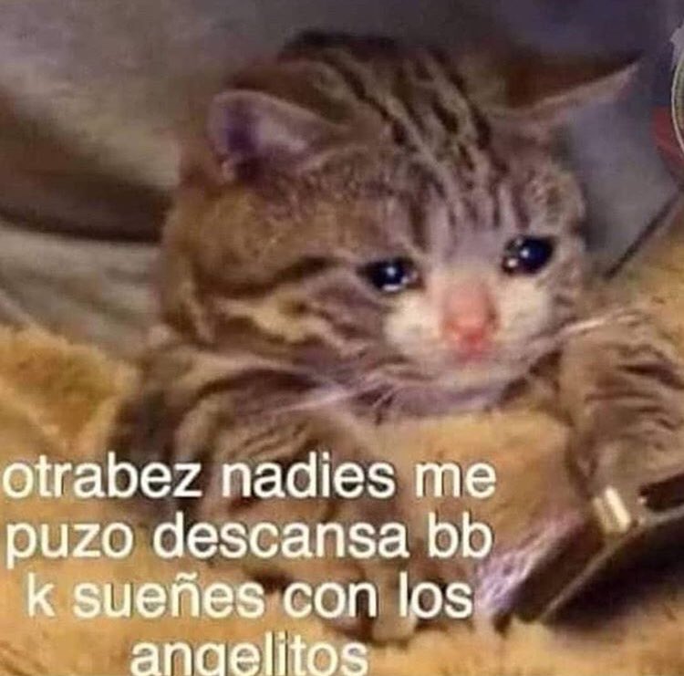 moonlitrays's tweet image. 