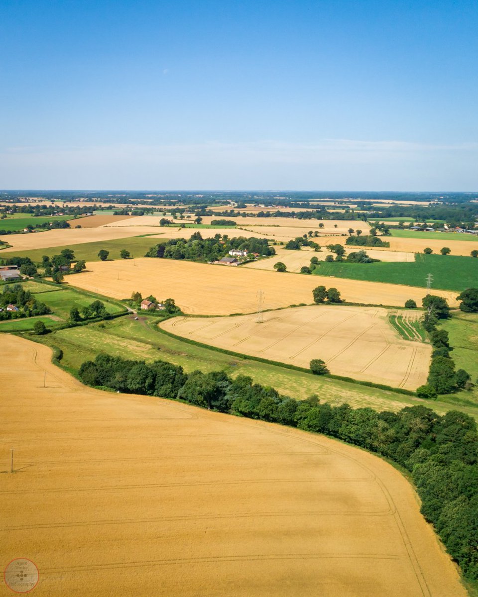 ApexDronePhoto's tweet photo. Harvest ready. View from near a clients' property in Norfolk.
-
-
-
-
-
-
-
-
-
#growwhatyoueat #harvesting #harvestseason #agriculture #organicfarming #growityourself #sun #instasummer #summee #summertime #sunny #summet #sunnyday #goodweather #sunlight #sunnydays https://t.co/TBVpXKSTav