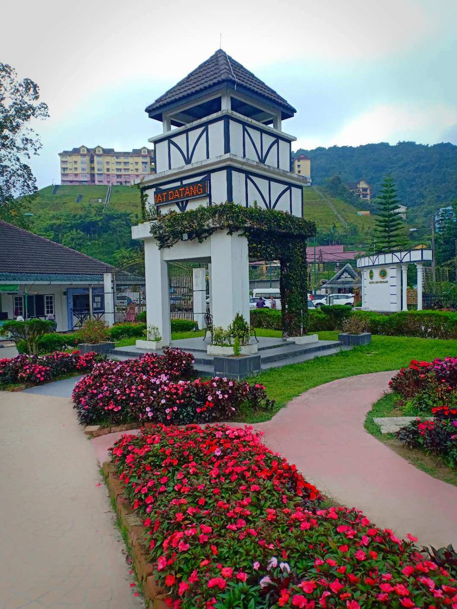 abooodelsayed's tweet image. 