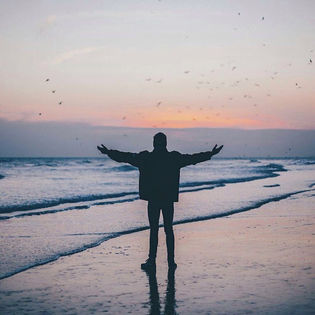 abooodelsayed's tweet image. 