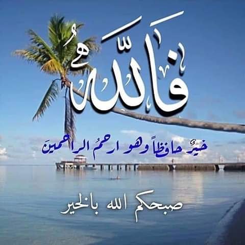 abooodelsayed's tweet image. 