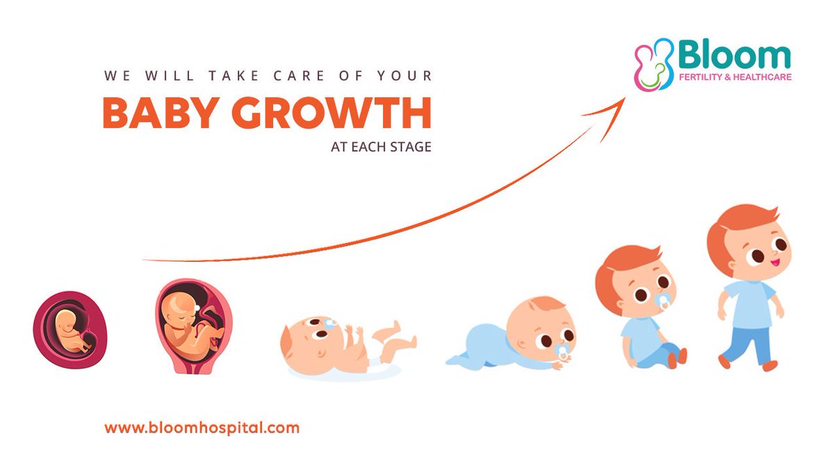 Maternity Growth Chart