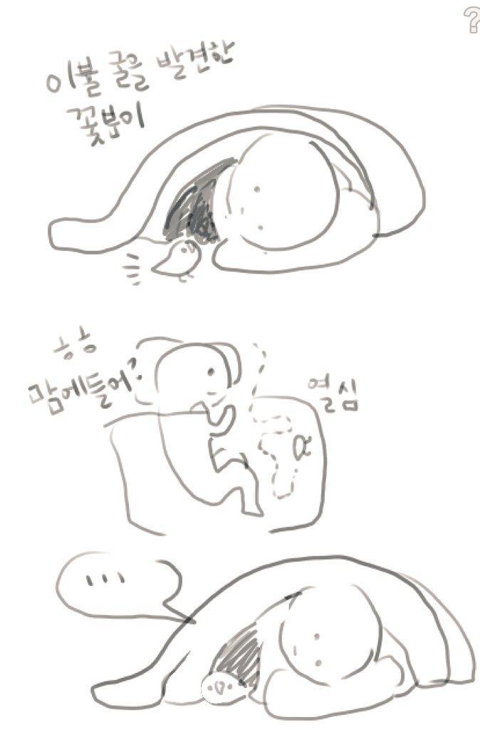 꽃분이와 이불포치/듬직이와 사과수염 