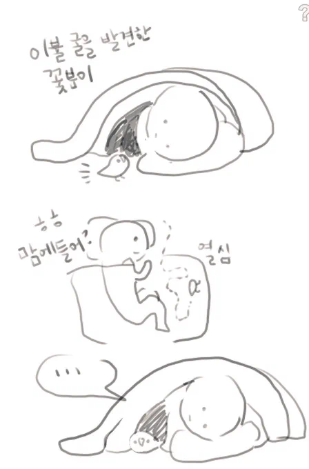꽃분이와 이불포치/듬직이와 사과수염 
