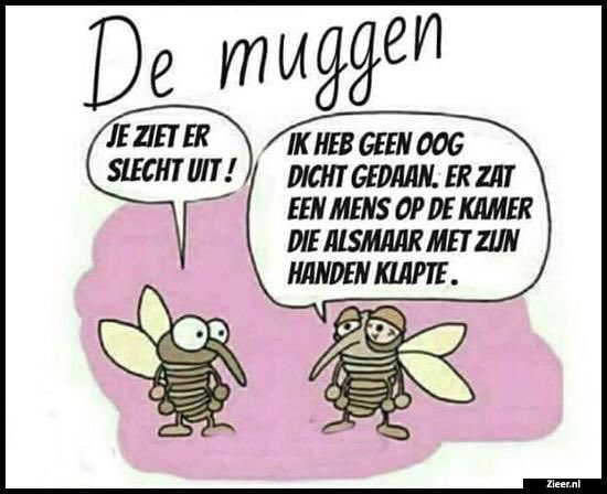 Zzzzzzzzzz en grrrrrr 🙈