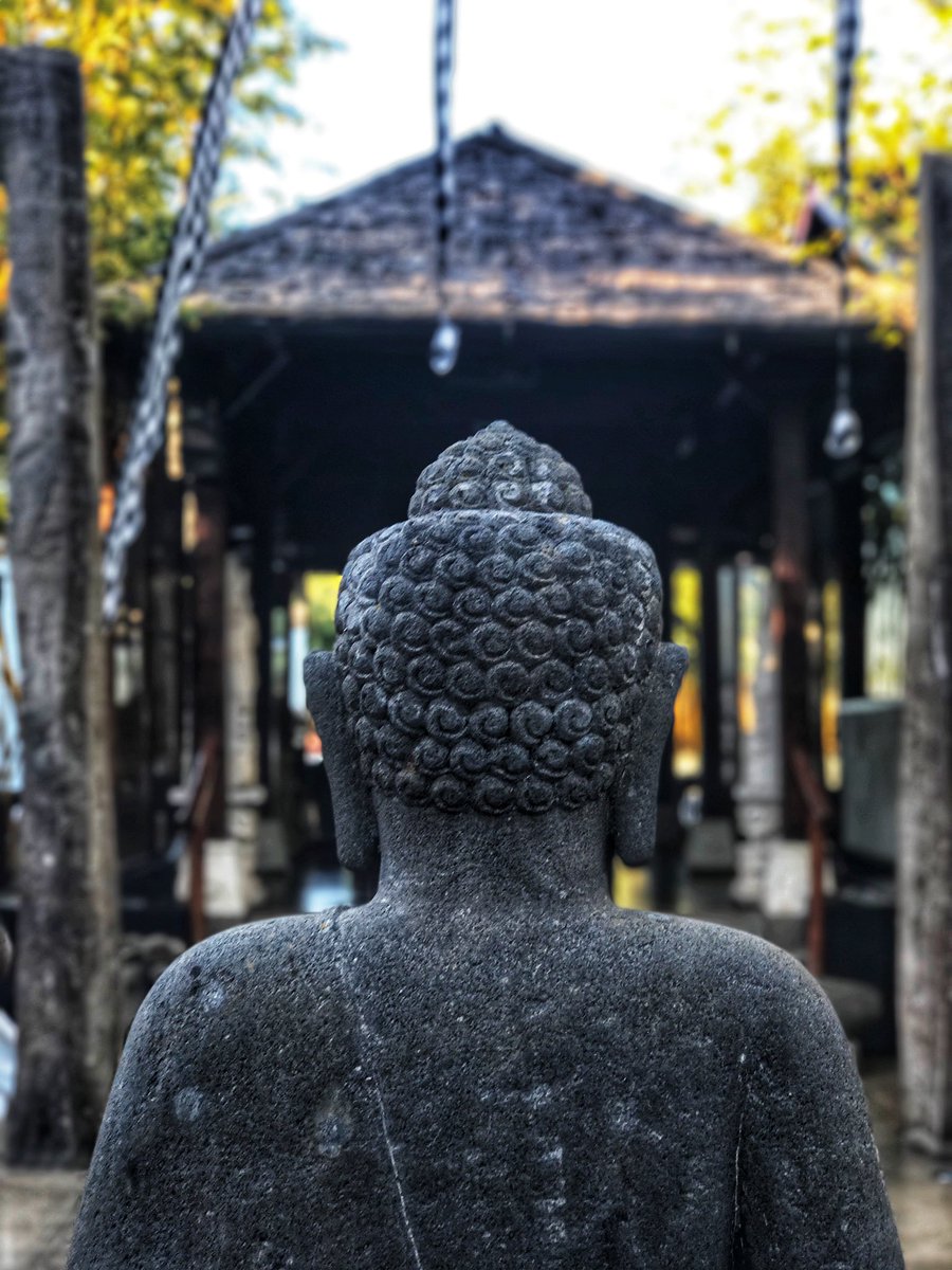 bambuddhaibiza's tweet photo. If anything is worth doing, do it with all your heart 🧘🏽♀️✨
#bambuddha #bambuddha2019 #bambuddhaibiza #ibiza #ibiza2019 #ibizalife #ibizalifestyle #ibizarestaurant #buddha #buddism #bali #balidesign #buddhastatue https://t.co/Ohg3woXxUi