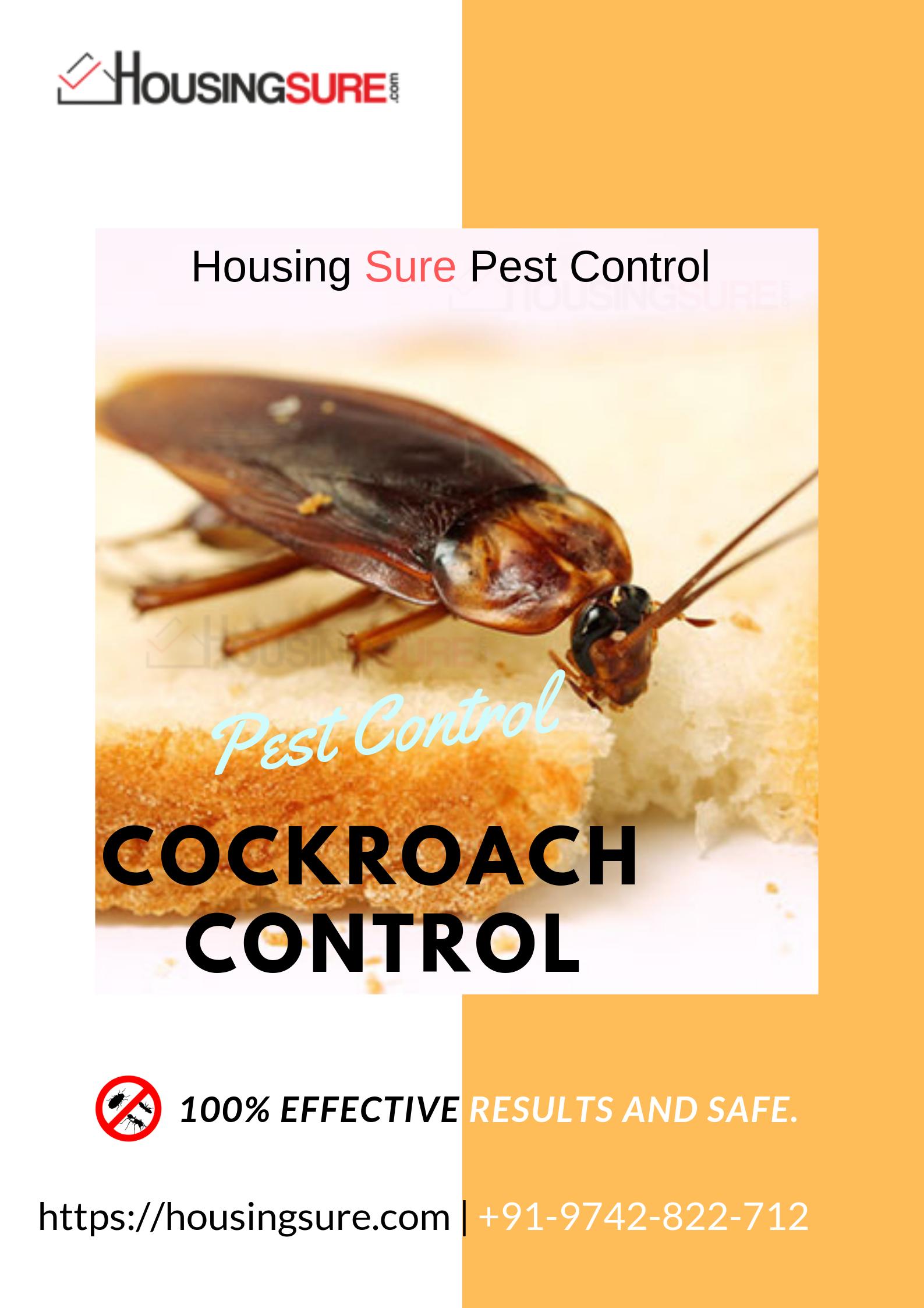 PCB Pest Control Bangalore (pestcontrolbng) / Twitter