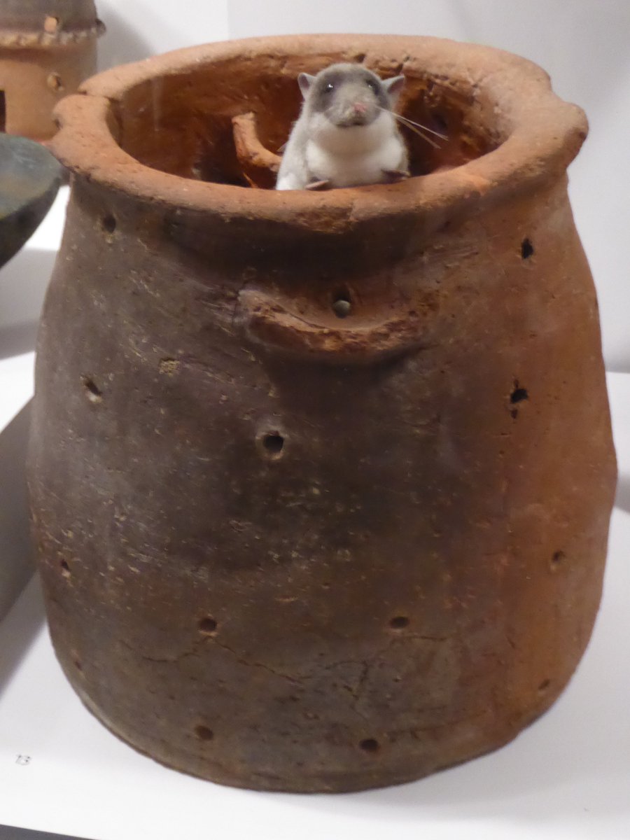 CaroleSouter's tweet photo. #LastSupperinPompeii a wonderful show @AshmoleanMuseum . Do go and be drawn into the world of Pompeii. https://t.co/zthYiSRp4O
