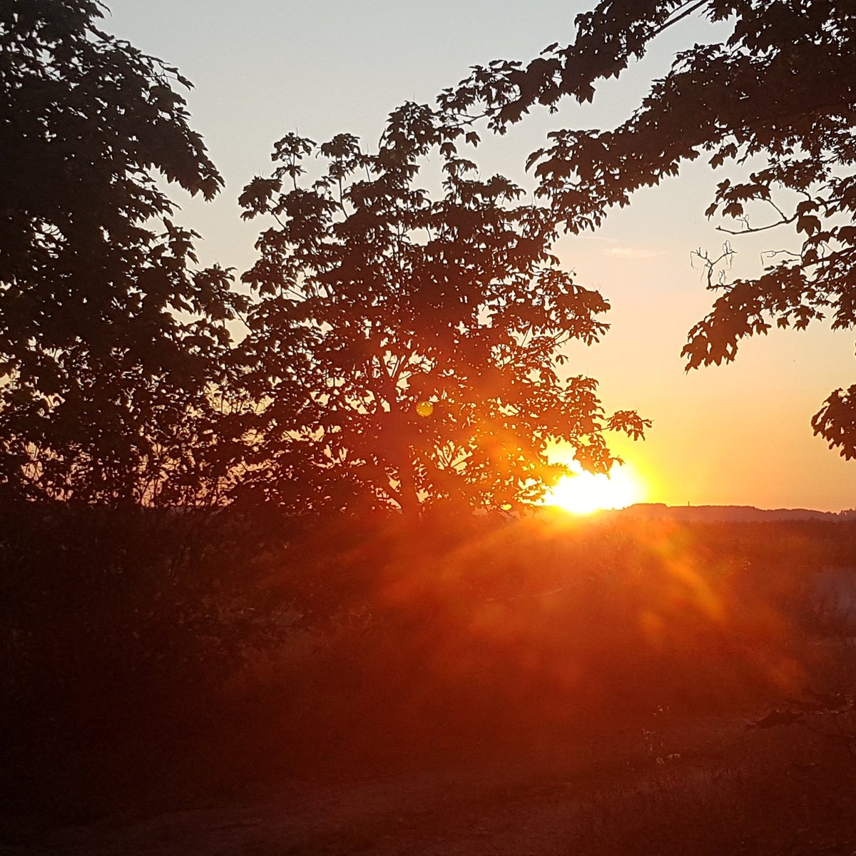 PerformanceVF's tweet image. Summer sunrise 

#summer #sunrise #farmlife #nofilter #countrygirls