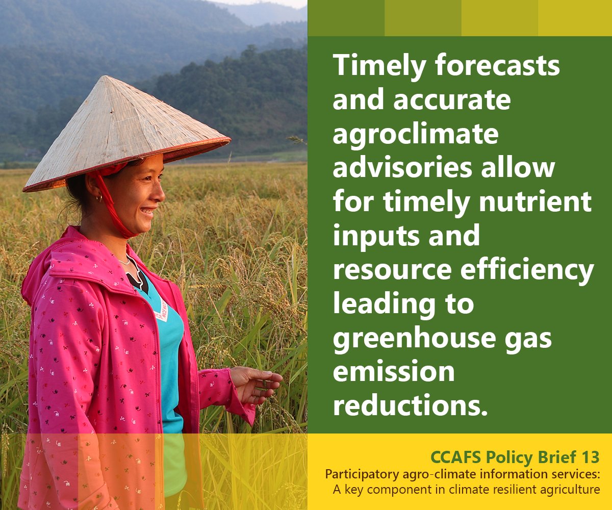 CGIARclimate's tweet image. #Agroclimate information services enable #farmers to better time the planting or harvesting of specific crops, select more suitable varieties or crops &amp;amp; plan the application of inputs. Read recent policy brief by @ICRAF &amp;amp; CCAFS: hdl.handle.net/10568/101922 #TransformAgPeople