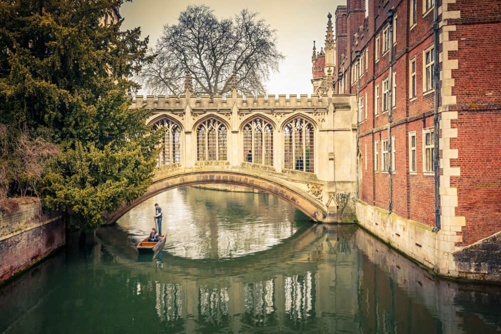 jamesmrecruits's tweet photo. Fancy working as a Head of IT for a recognised "Best place to Work" in #Cambridge? #strategy #leadership &amp; #tech Take a look below - please like &amp; retweet as well! #Job #Jobs
https://t.co/pxaXSWvENz https://t.co/CQcHDVez4g