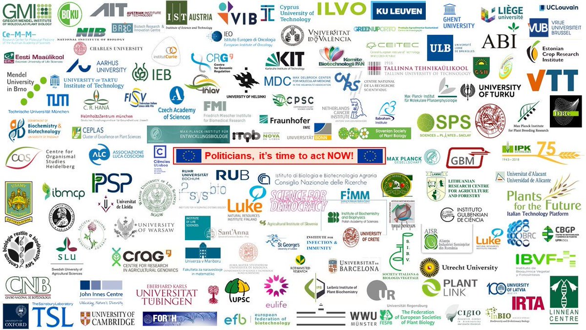 InzeDirk's tweet photo. After one year, the urgency to change the unfortunate ECJ ruling on genome edting (GE) became even more evident. Scientific consensus in Europe and the rest of the world that GE is crucial for the efficient development of climate resilient crops and a sustainable agriculture. https://t.co/aUrXi1AAmA