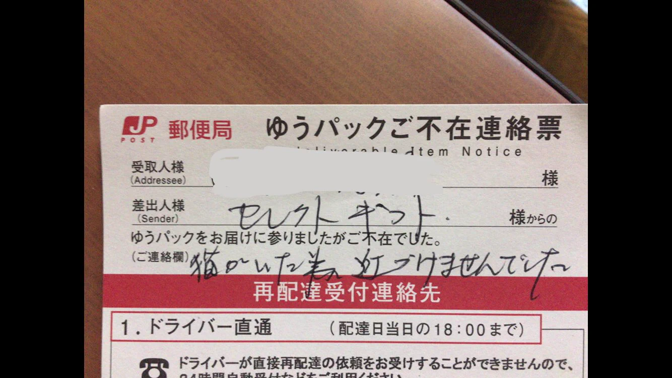 宅配ボックス前のネコが怖くて荷物が届けられない配達員がいたwww