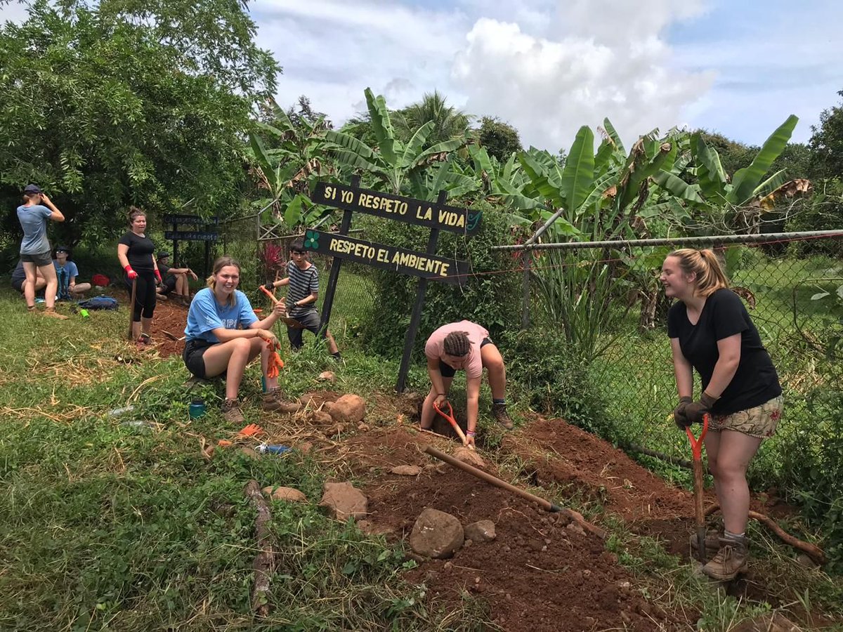 Camp_CostaRica's tweet photo. #TeamIlanIlan & #TeamJacaranda have been working up a sweat digging trenches at #CampTerraba 💪 ⛏️ #CampsEffect #DoSomethingAmazing @CampsInt https://t.co/hY7z6vATaZ