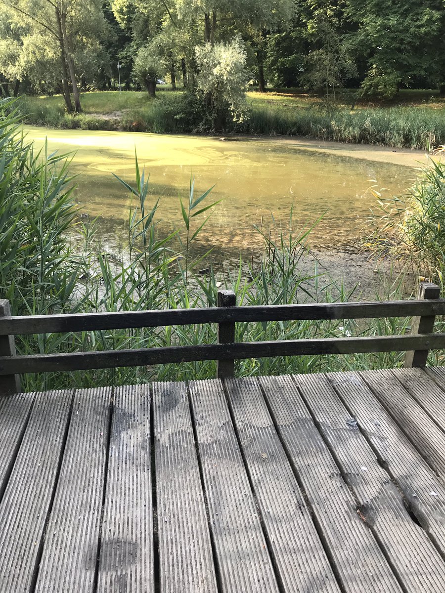 Joanna20925321's tweet photo. #joggingchallenge #health #ecopsychology #happy #nature #maastricht https://t.co/cPmB5y0tkS