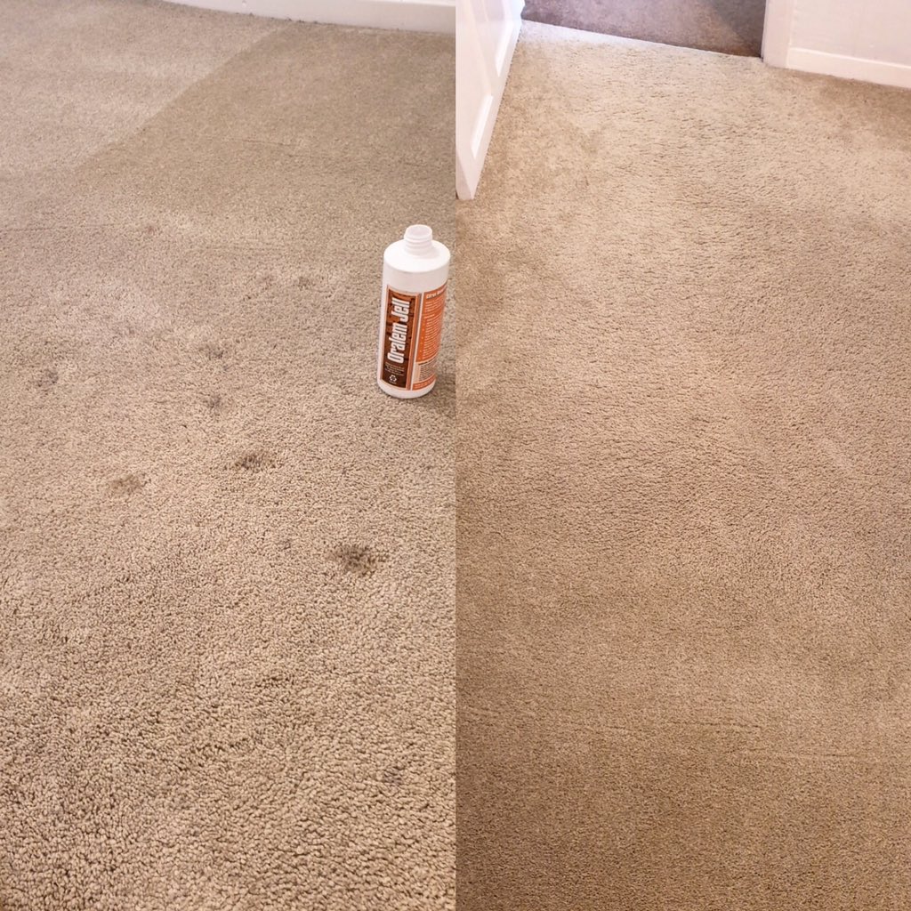 Texatherm's tweet photo. Check out this before and after sent in from one of our clients.
The sticky marks left in the carpet were treated with Oralem jell which is a natural solvent.
Rinsed with the EMV and a hand tool 👍
https://t.co/NU6qAJ5SlV
#texatherm #texathermsolutions #carpetcleaning https://t.co/gk6JuguJvh