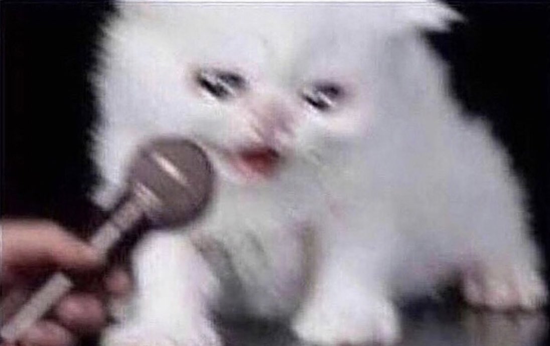 emily ♡ tweet media