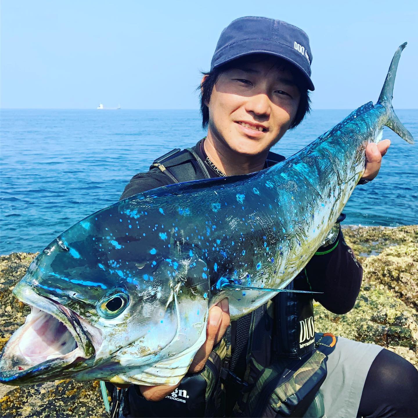 ショアシイラ Twitter Search Twitter
