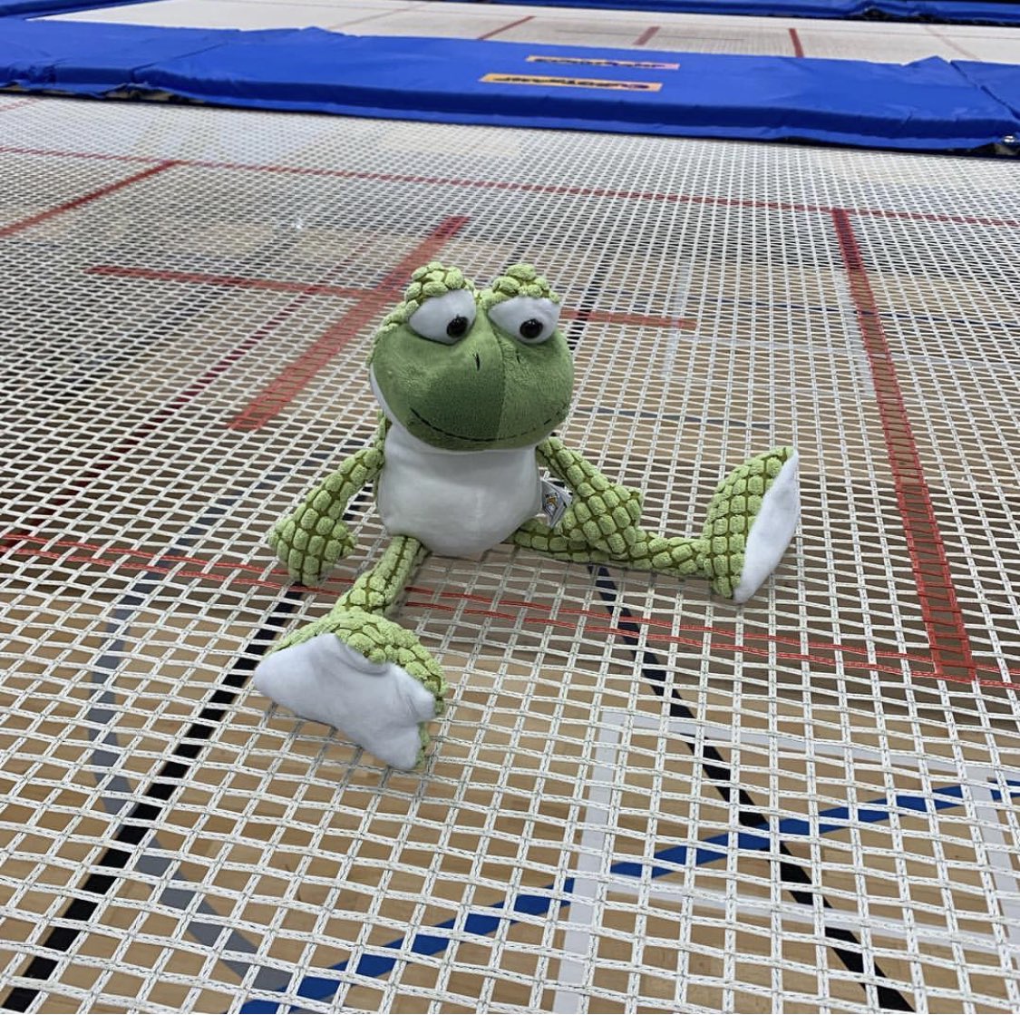 WE ARE IN NEED OF A NEW #TRAMPOLINE!📣 Our CC dreamt that our mascot, Flik, negotiated a #sponsorship deal with our local <a href="/coopuk/">Co-op</a>... What do you say Co-op? Could we be one of your local causes?👀 <a href="/CooperativeBank/">The Co-operative Bank UK</a> <a href="/coopukcampaigns/">Co-op Campaigns Team</a> <a href="/yoursu/">Me</a> #WorthATry🤞