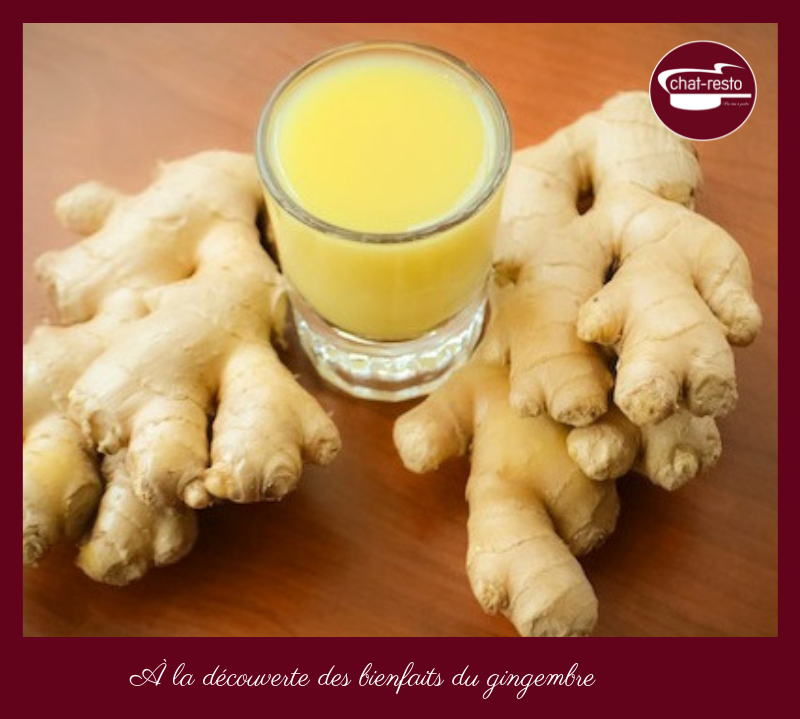 ChatResto_'s tweet photo. Le gingembre est une plante dont les racines sont utilisées non  seulement dans l’alimentation, mais aussi pour soulager toutes sortes de  maux : rhumatismes, nausées, rhume, maux de tête, etc.  Découvrir tous les bienfaits de cet aliment sur https://t.co/MXQcoJOmL7 https://t.co/oHkK2JjErh