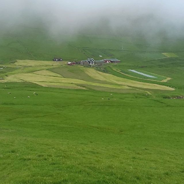 JEcottGlass's tweet photo. Just arrived on Stora Dimun, a stunning little island in the Faroes where one family lives, year round. Beautiful, green and very misty

#faroeislands #faroe #visitfaroeislands #seaandsky #nordicbeauty #islandsandseas https://t.co/m9jjlrsKdU https://t.co/n2ev44LatE