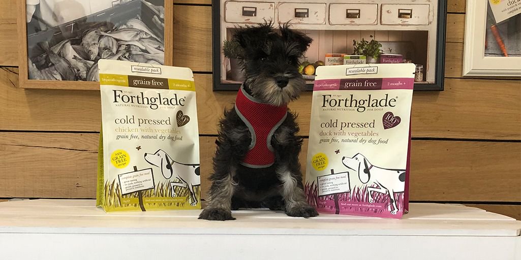 Forthglade's tweet photo. We had a special visit earlier this week from Tilly (@AdventuresofTi4), a 13 week old Miniature Schnauzer! Upon Tilly's inpection, she was particularly impressed with our Cold Pressed range. If your pooch hasn't tried it yet, you can order some here: https://t.co/iHrxMn1Sku https://t.co/yd83UywBNL