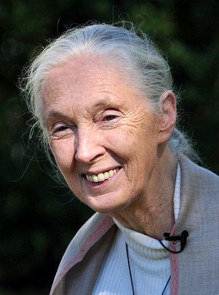 “What you do makes a difference, and you have to decide what kind of difference you want to make.” - Jane Goodall

#MorningMotivation #MakeADifference