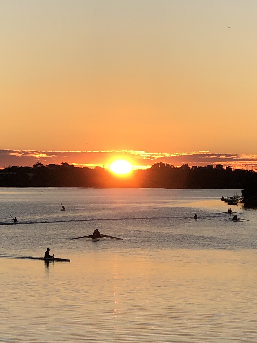 #holtyspicsqld a crispy clear Varsity Lakes morning. Penny de Byl QLD.