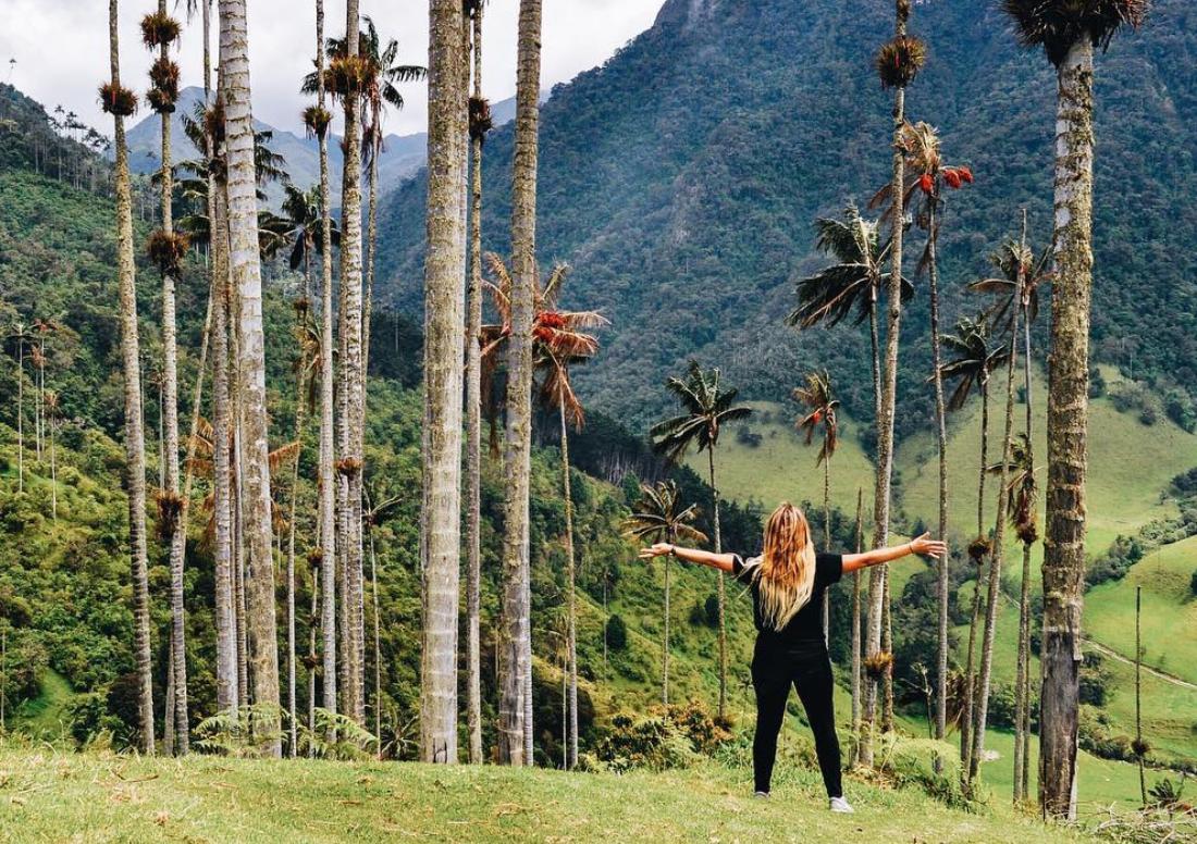 #TBT to this epic hike through the Valle de Cocora in #Salento 🌴

This has to be one of our fave weekend trips in #Colombia. Towering wax palm trees, rolling green hills, coffee plantations, horseback riding and seemingly never-ending #adventure!

#naturelovers #remotework