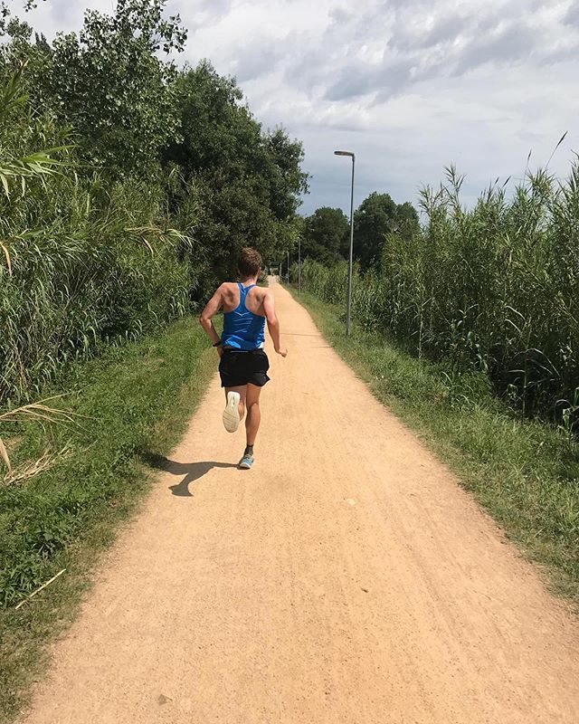 David McNamee tweet media