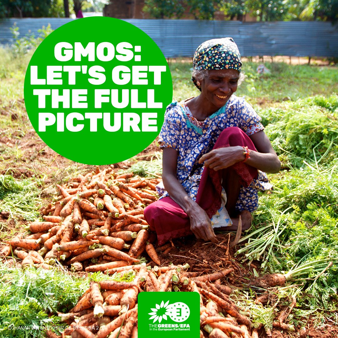 For a GMO-free EU tweet media