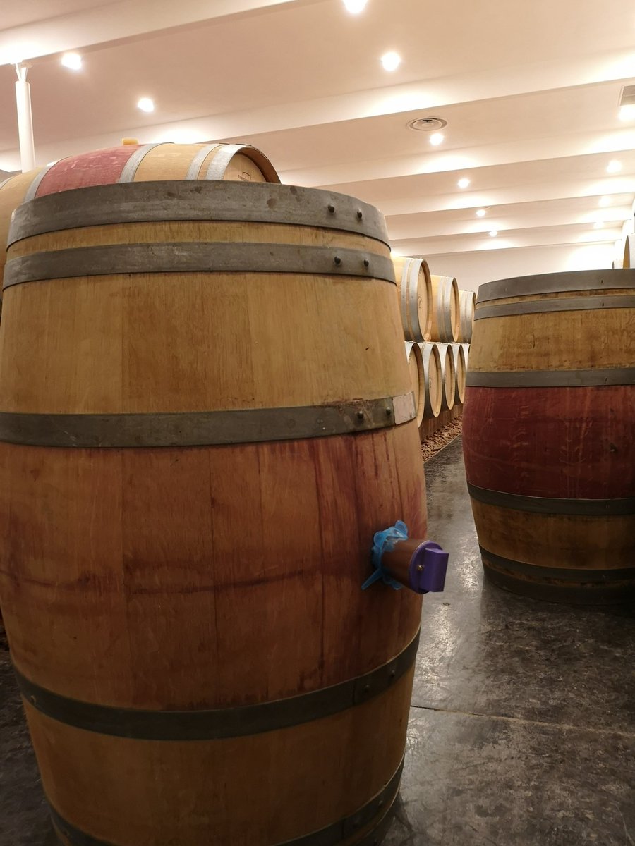 BacchusMy's tweet photo. Bacchus_Pro arrive chez les viticulteurs 🍇🍷
#innovation #IoT #viticole #vinicole en région de @Bordeaux #grandscrusclassés https://t.co/nwKoFAWZFQ