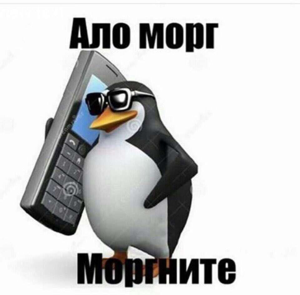 Мемы с пингвином