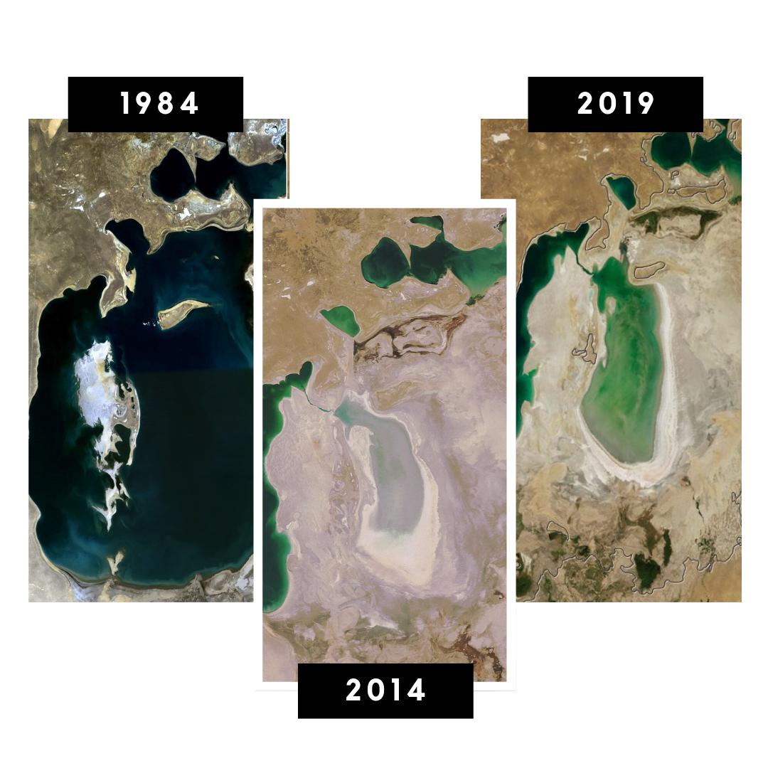 🌊In 50 years, the Aral Sea has significantly shrunk losing 75% of its surface and 90% of its volume. However, in 4 years, the Aral Sea regained 30% of its surface area welcoming back 15 fish species. 
Even though there is still a lot to do, positive changes are always possible.