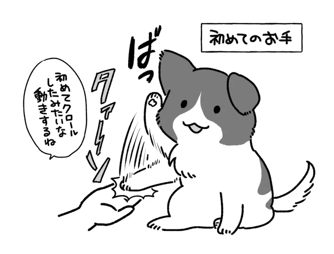 犬さんがお手覚えたメモ 