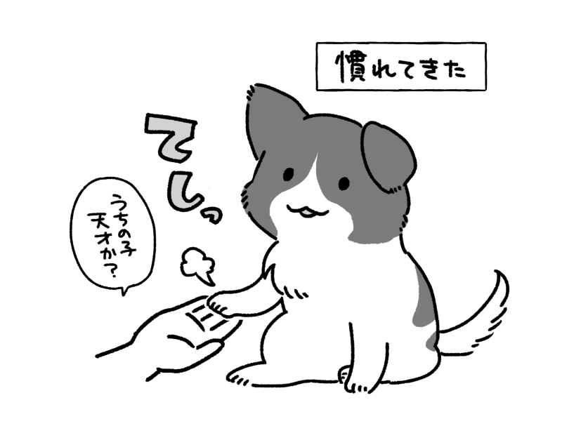 犬さんがお手覚えたメモ 